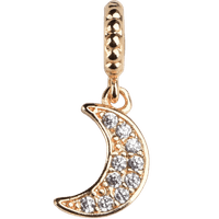 Pave Moon