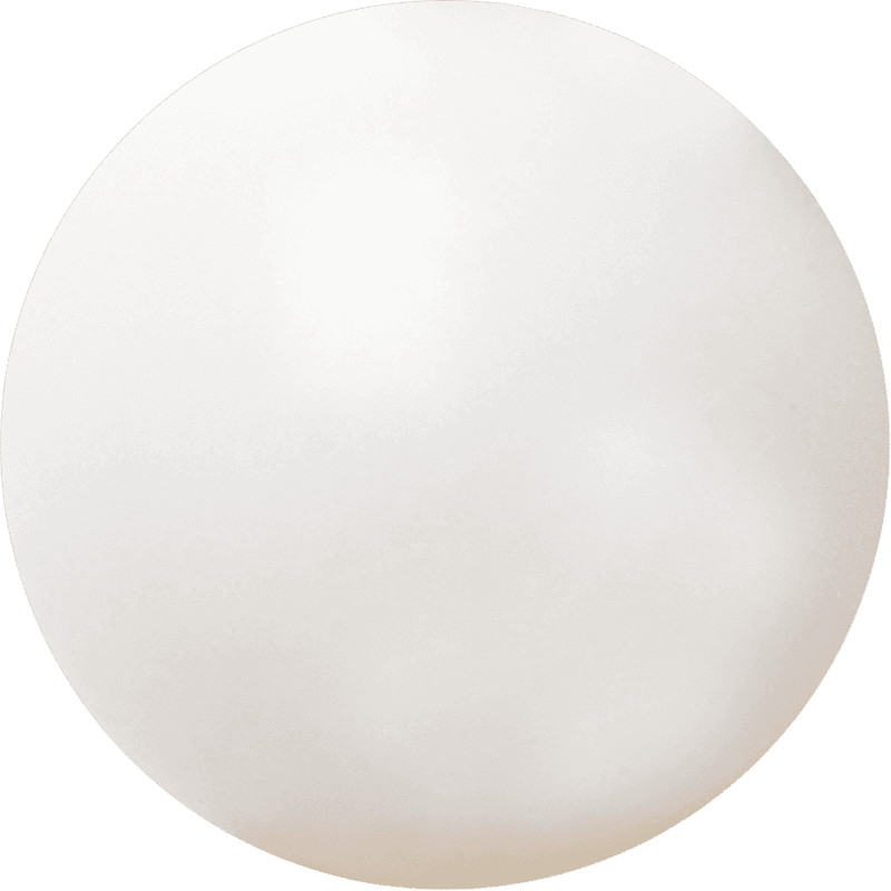 White Bodhi
