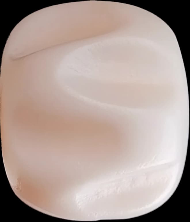 Ox Bone
